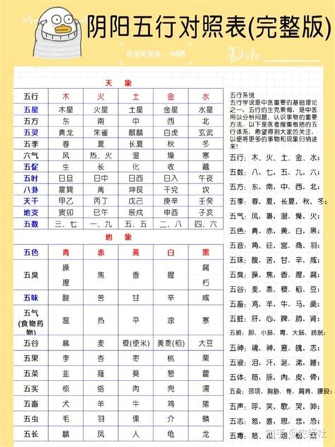 九 五行|1到9数字五行属性对照表